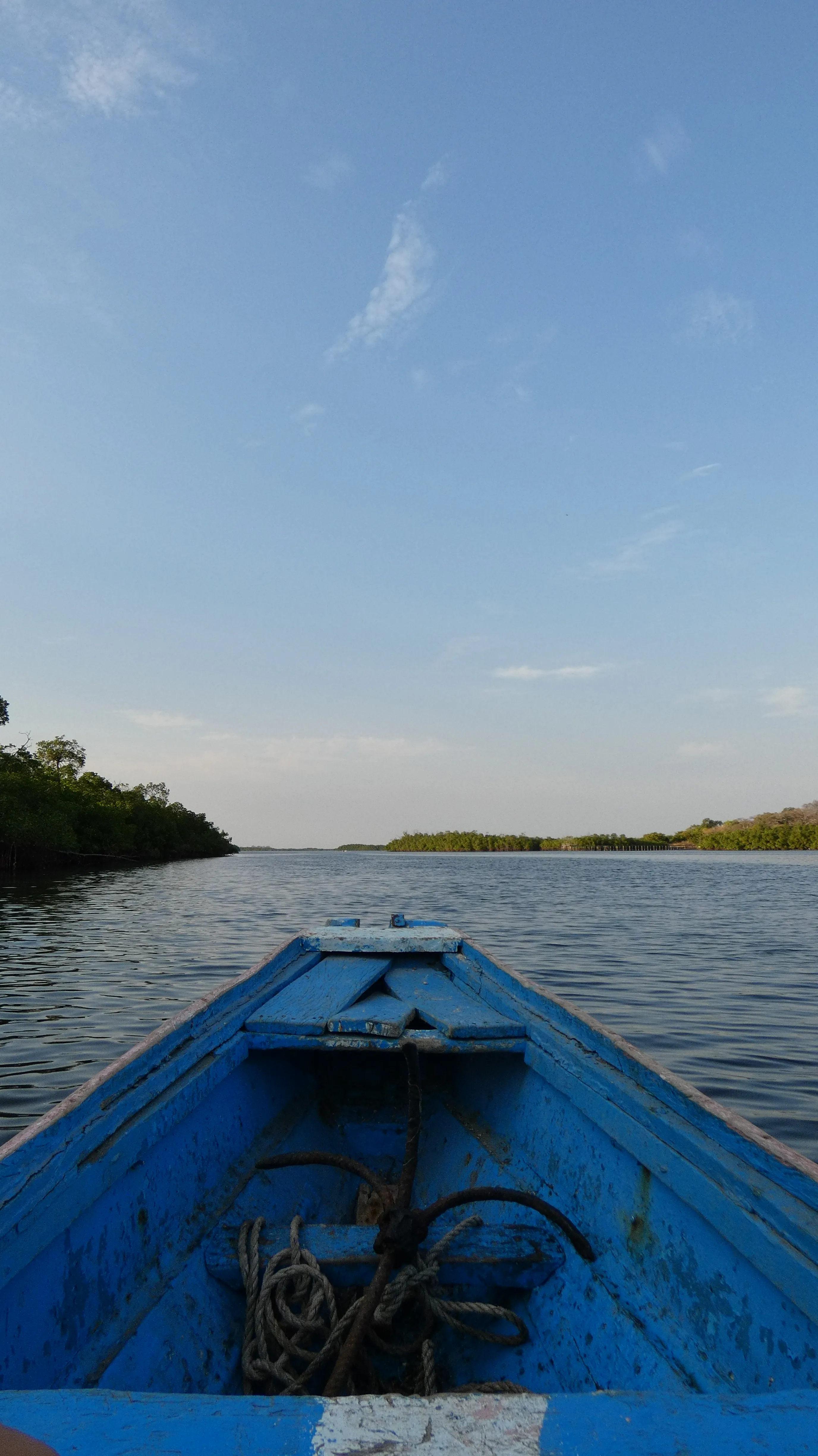 Delta del Saloum